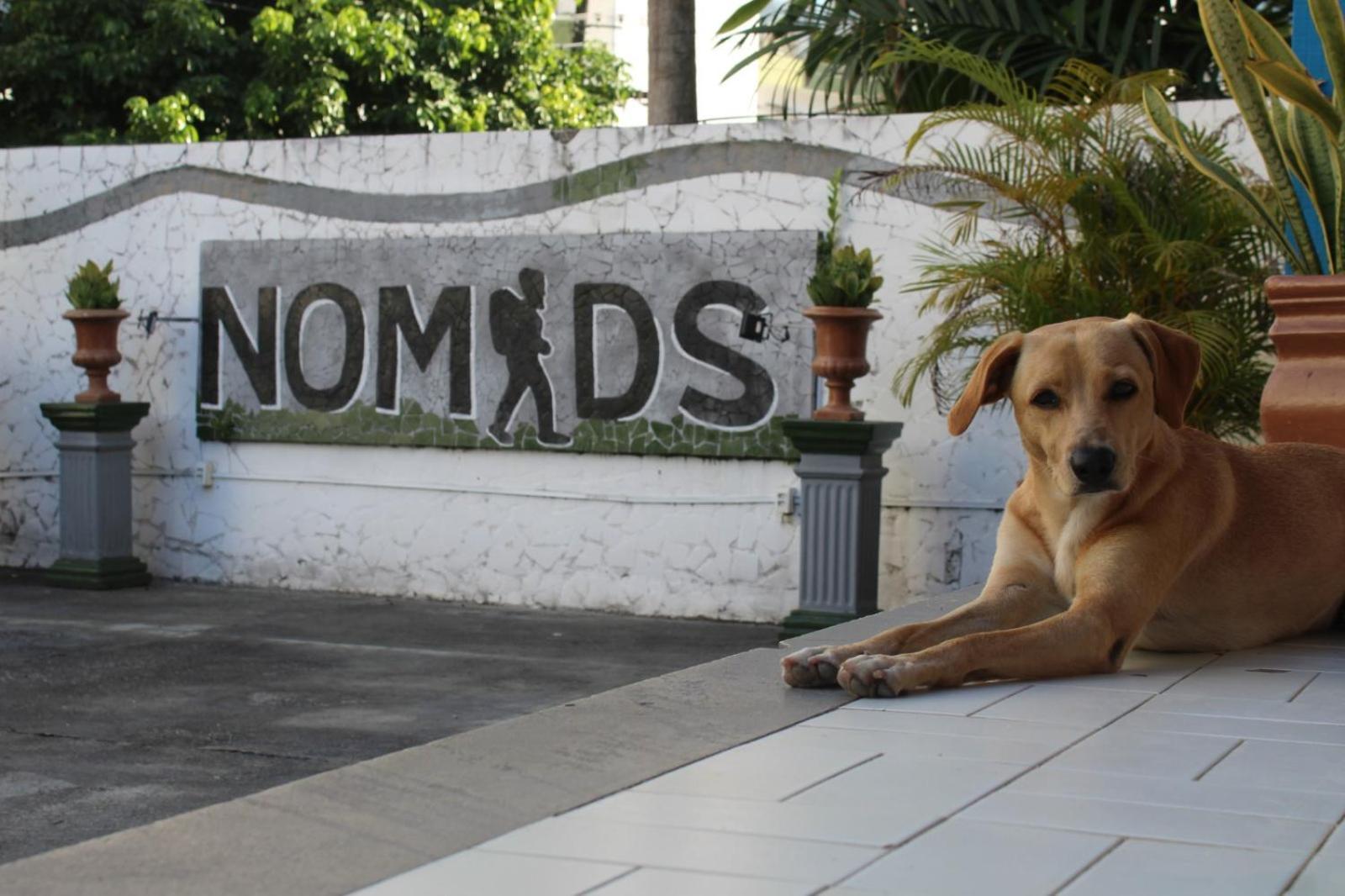 Nomads Hostel Multicultural & Coworking サルバドール エクステリア 写真