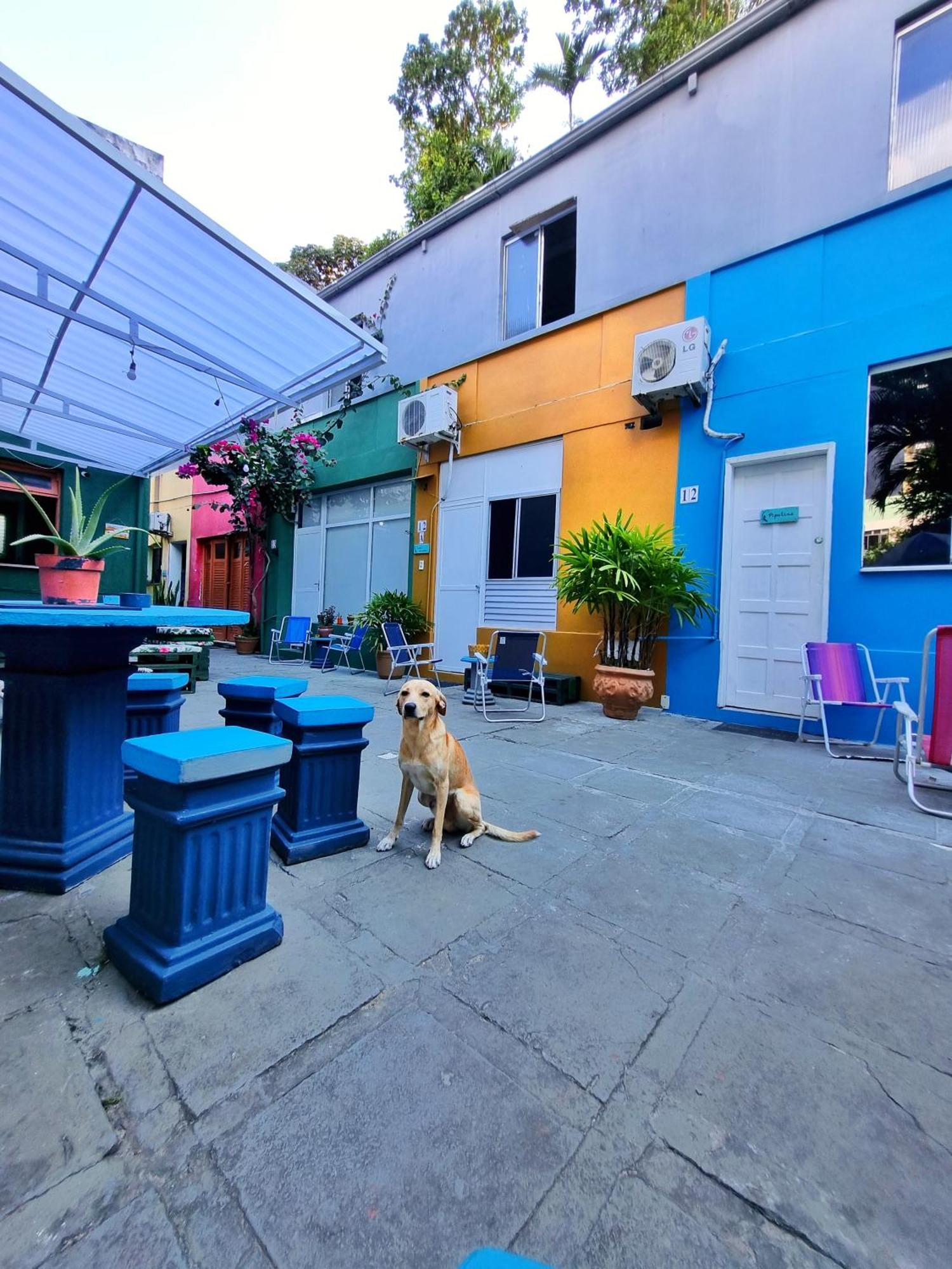 Nomads Hostel Multicultural & Coworking サルバドール エクステリア 写真