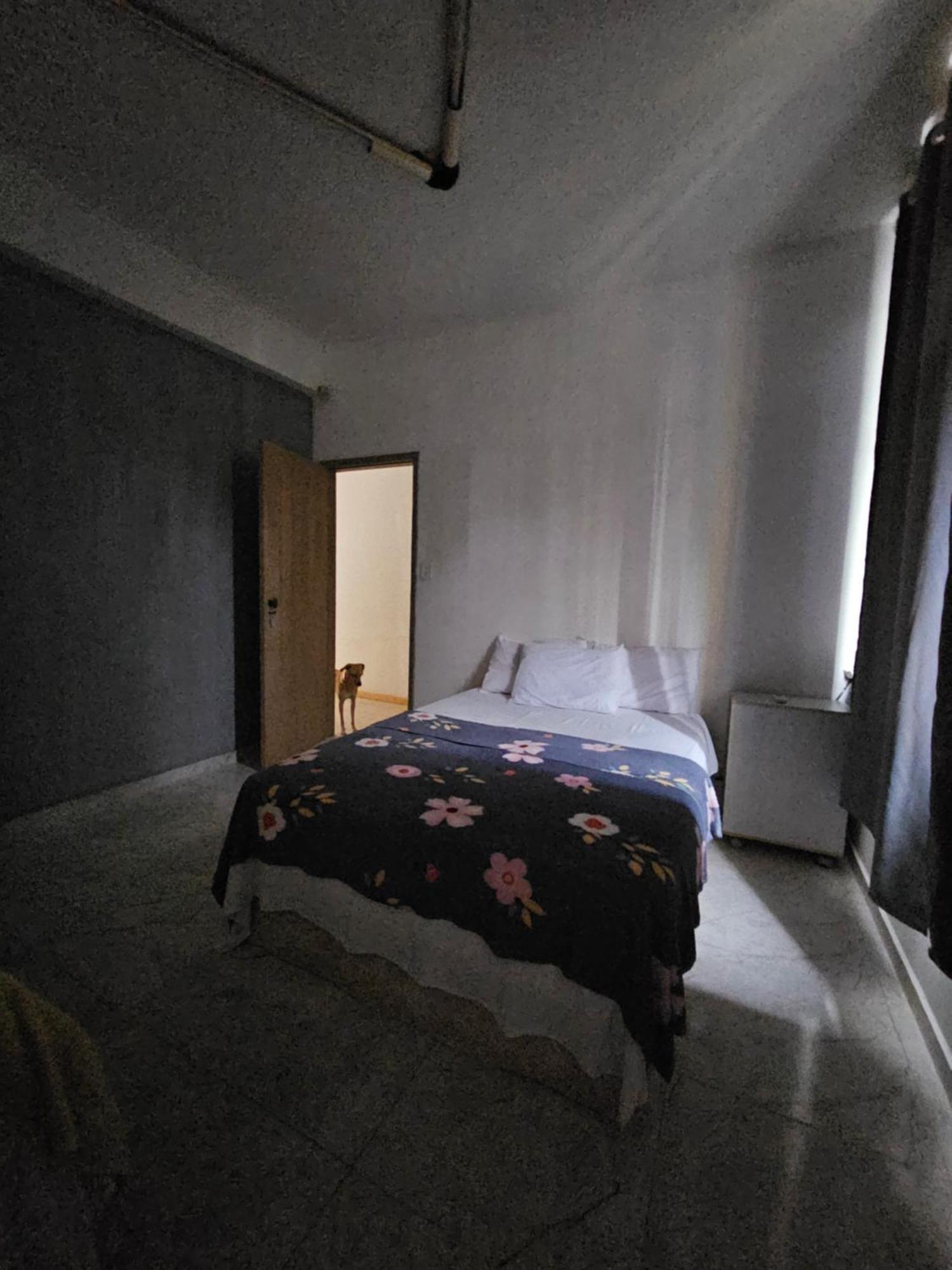 Nomads Hostel Multicultural & Coworking サルバドール エクステリア 写真